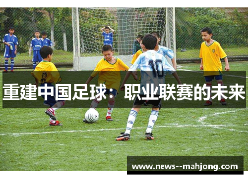 重建中国足球:职业联赛的未来 重建中国足球:职业联赛的未来