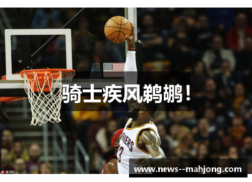 骑士疾风鹈鹕！