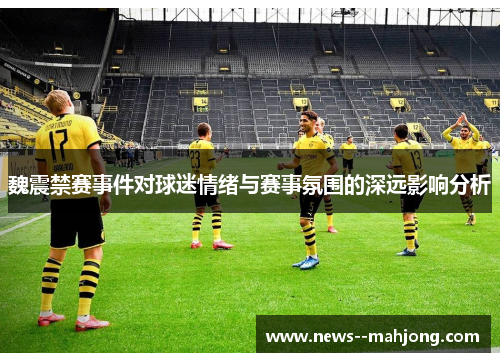魏震禁赛事件对球迷情绪与赛事氛围的深远影响分析