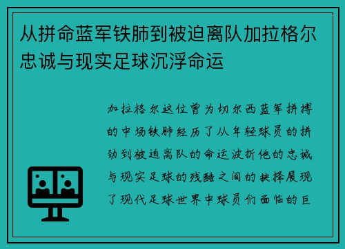 从拼命蓝军铁肺到被迫离队加拉格尔忠诚与现实足球沉浮命运
